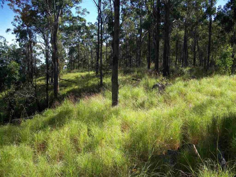 Kerry QLD 4285