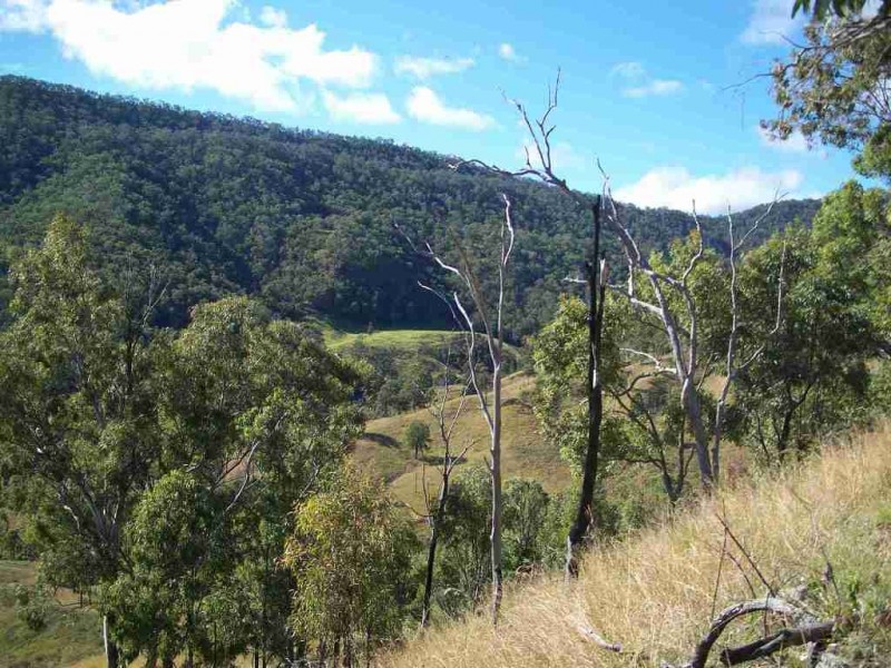 Kerry QLD 4285