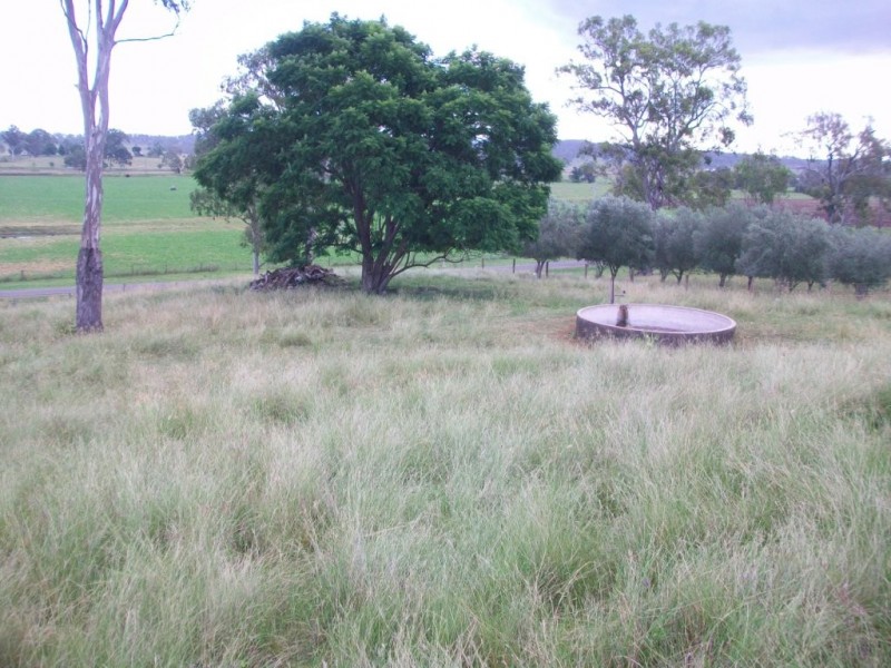 Christmas Creek QLD 4285