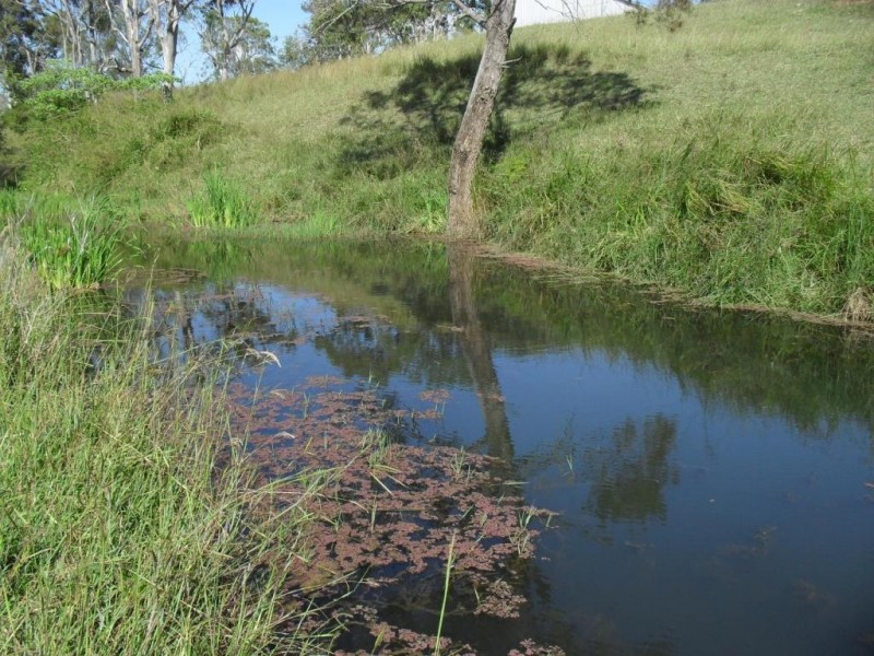Oaky Creek QLD 4285