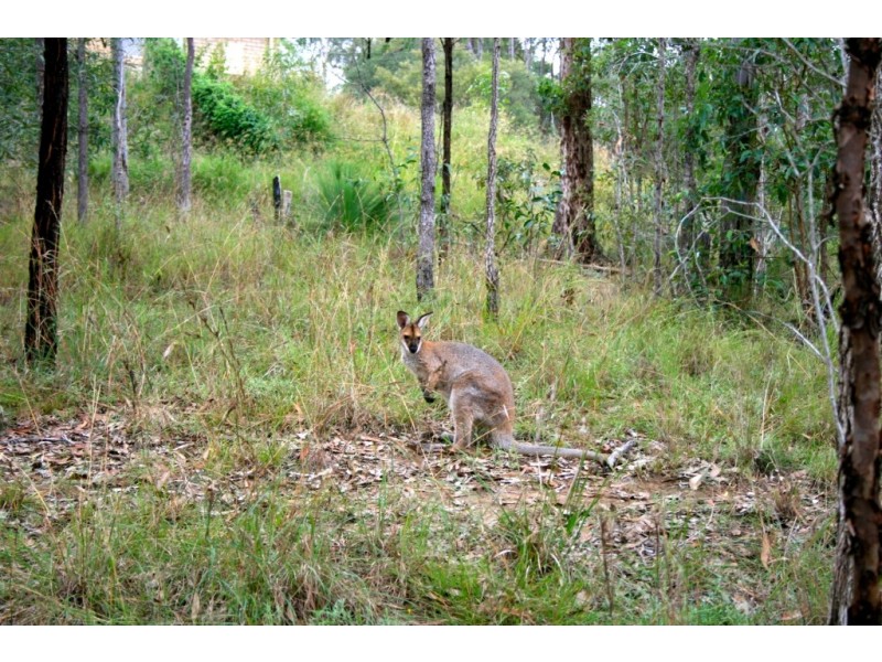 Kooralbyn QLD 4285