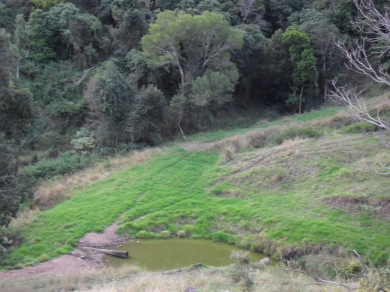 Running Creek QLD 4287