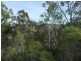Kooralbyn QLD 4285
