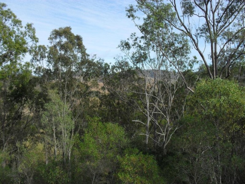 Kooralbyn QLD 4285
