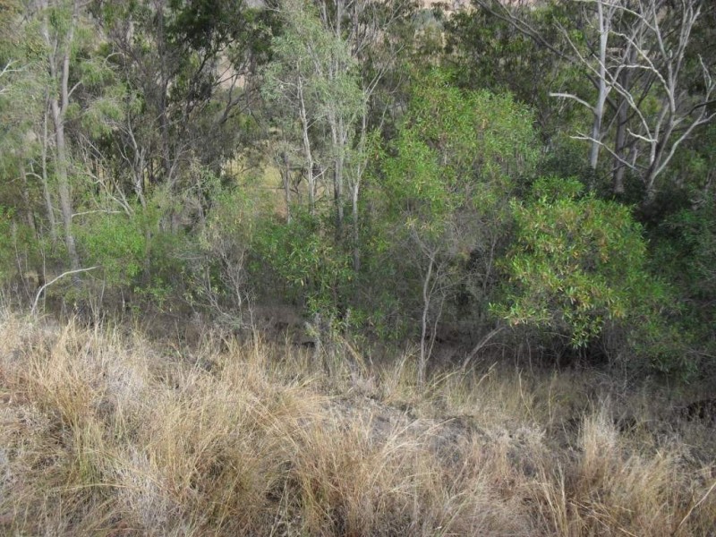 Kooralbyn QLD 4285