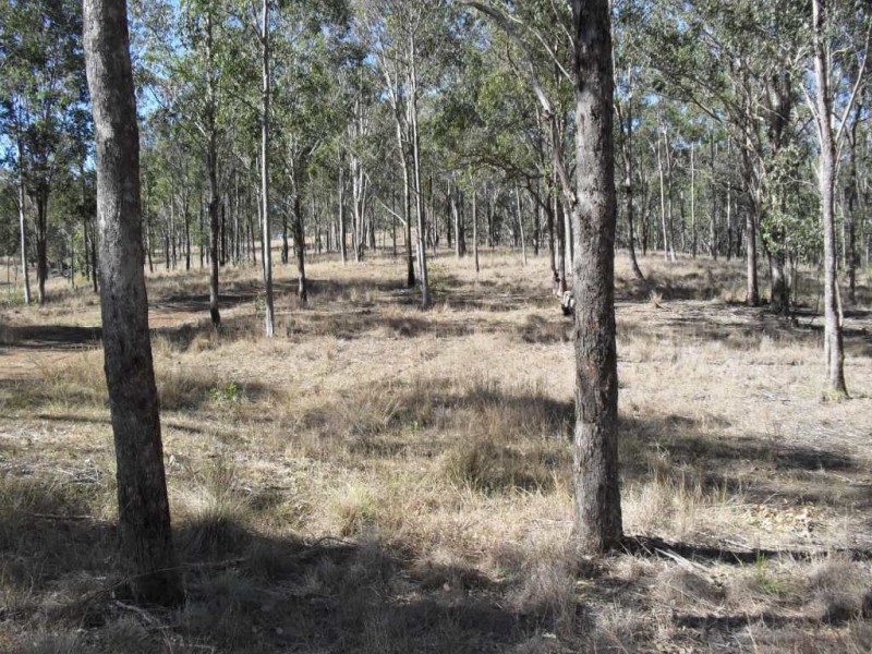 Running Creek QLD 4287
