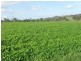 Beaudesert QLD 4285