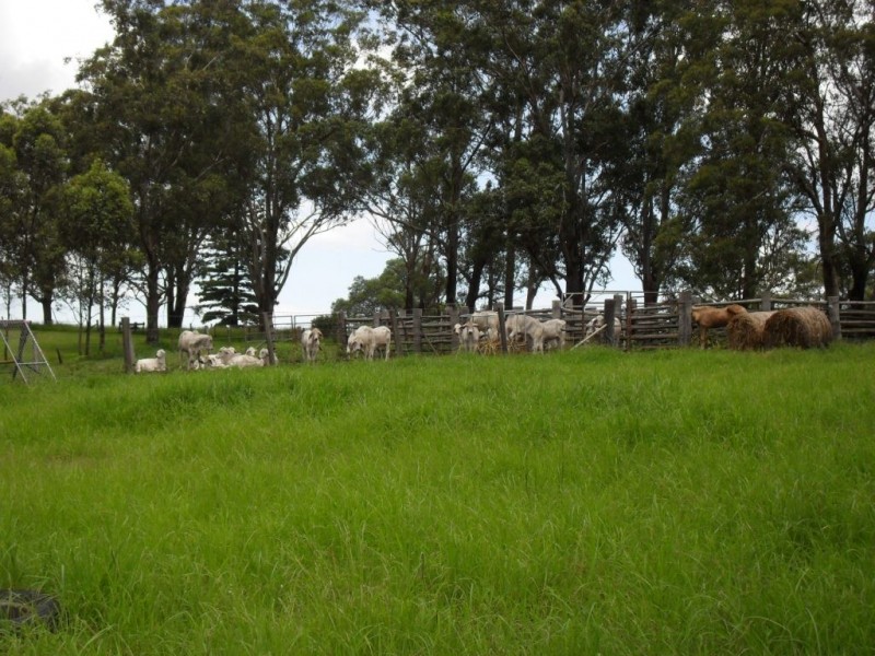 Beaudesert QLD 4285