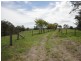 Rathdowney QLD 4287