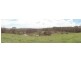 Rathdowney QLD 4287