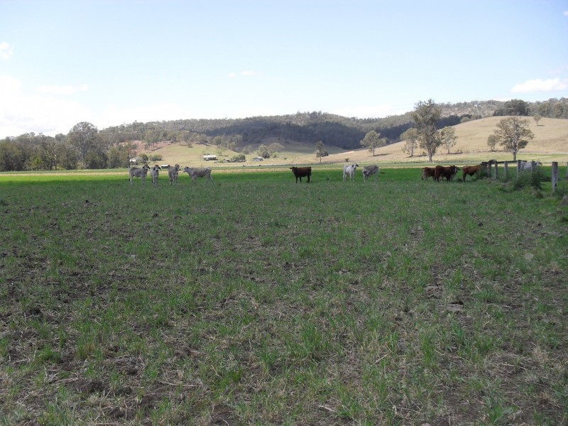Beaudesert QLD 4285