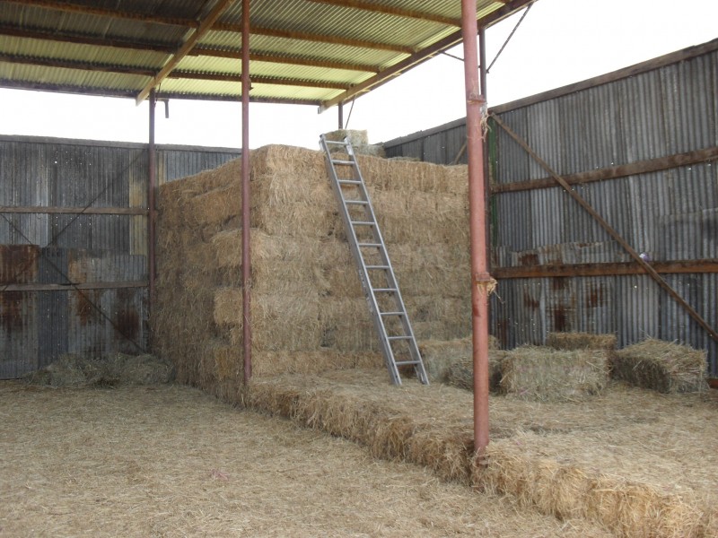 Beaudesert QLD 4285