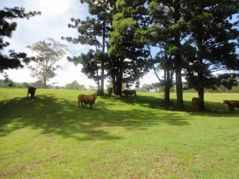 Palen Creek QLD 4287