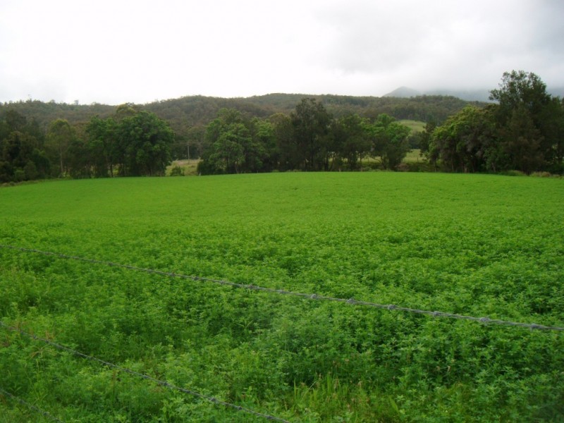 Palen Creek QLD 4287