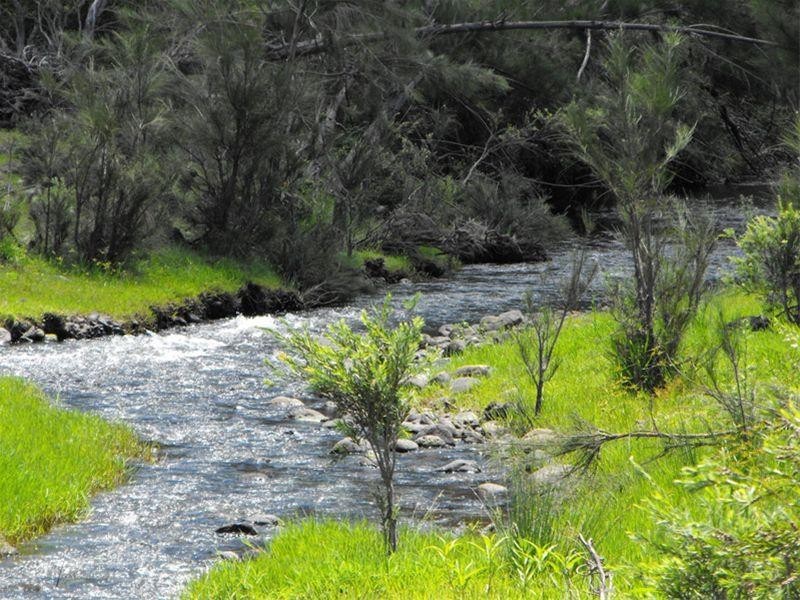 Darlington QLD 4285