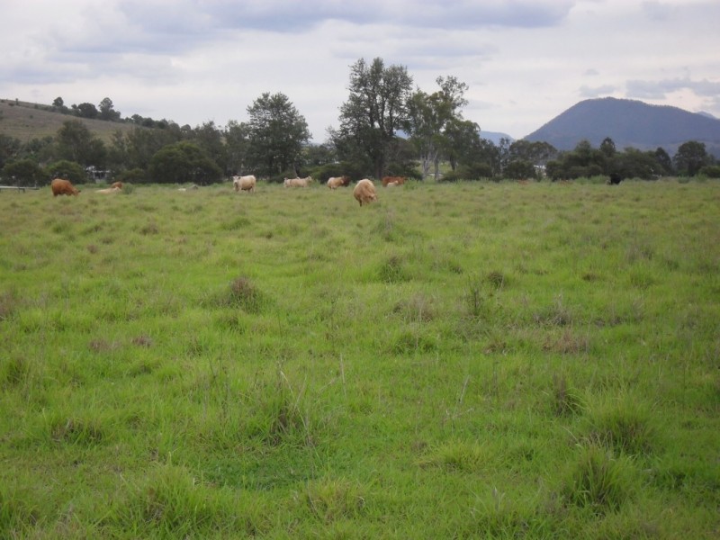 Maroon QLD 4310