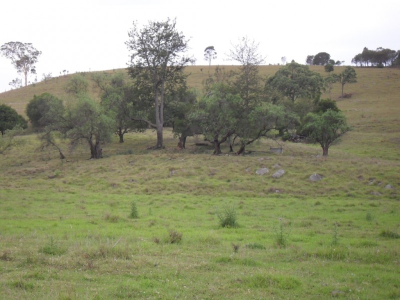 Maroon QLD 4310