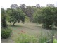 Kooralbyn QLD 4285