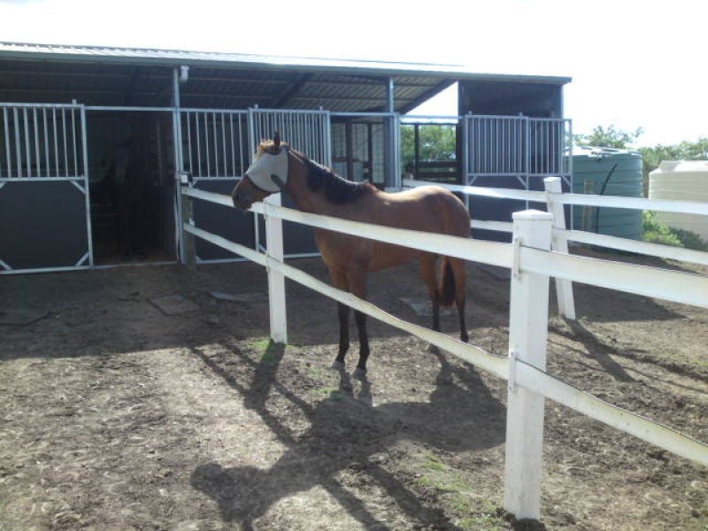 Gleneagle QLD 4285