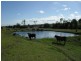 Innisplain QLD 4285