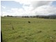 Rathdowney QLD 4287