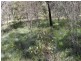 137 Stephens Place, Kooralbyn QLD 4285