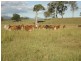 9372 Mt Lindesay Highway, Beaudesert QLD 4285