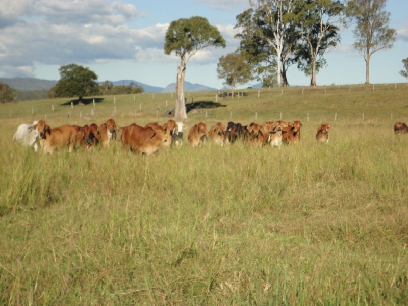 9372 Mt Lindesay Highway, Beaudesert QLD 4285