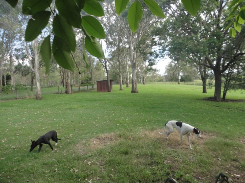 58 Mundooluan, Beaudesert QLD 4285