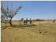 Beaudesert QLD 4285