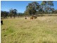 Beaudesert QLD 4285