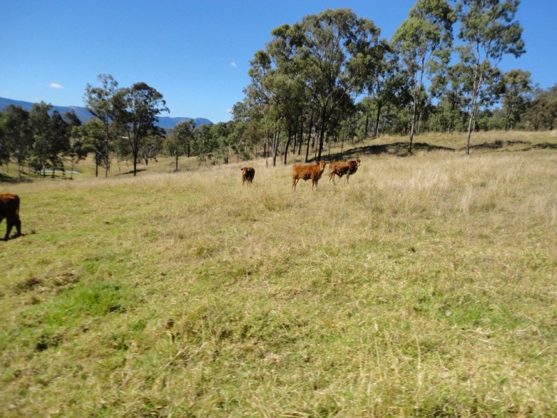 Beaudesert QLD 4285