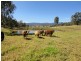 Beaudesert QLD 4285