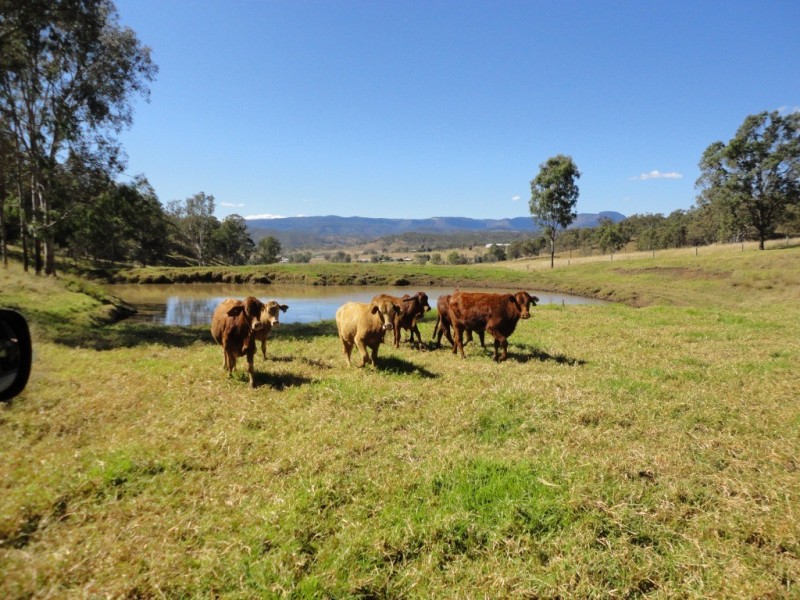 Beaudesert QLD 4285