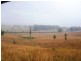 Beaudesert QLD 4285
