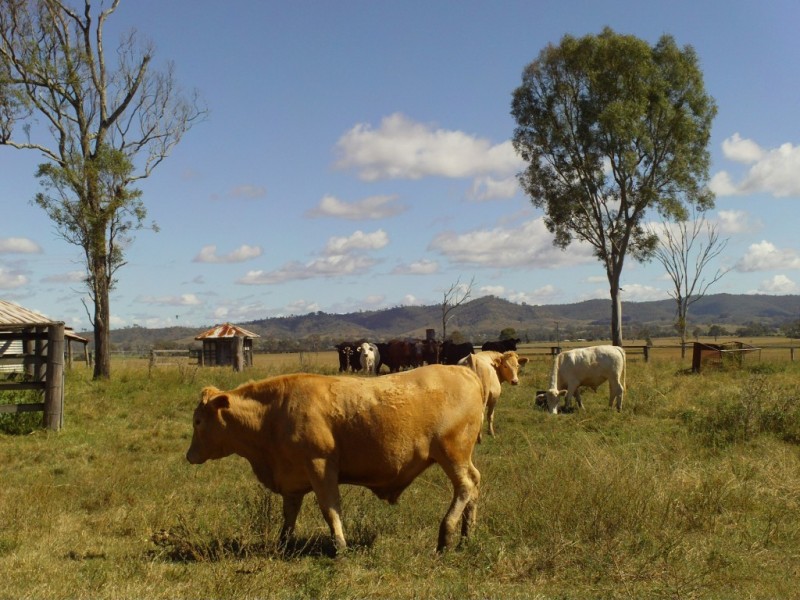 Beaudesert QLD 4285
