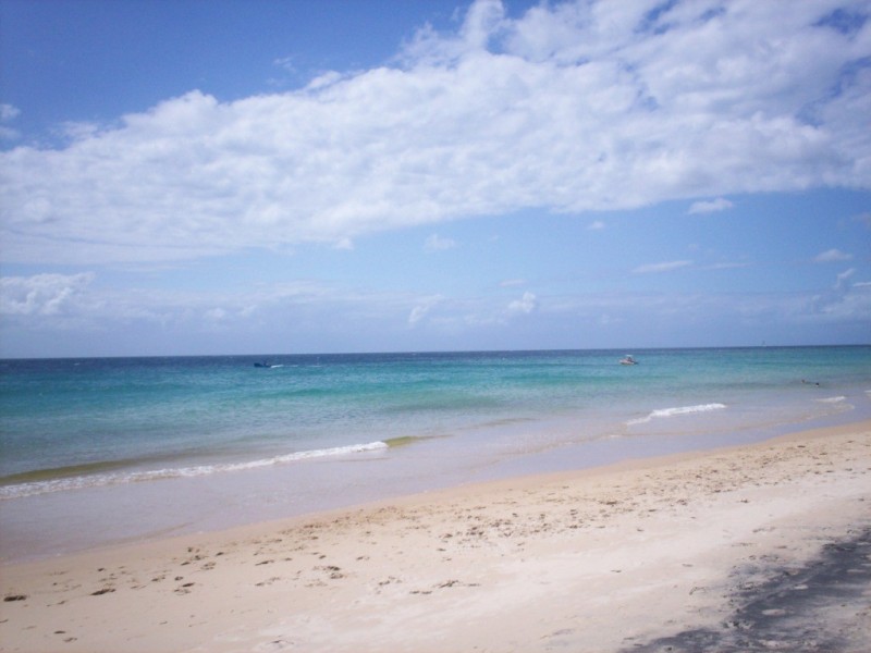 Moreton Island QLD 4025