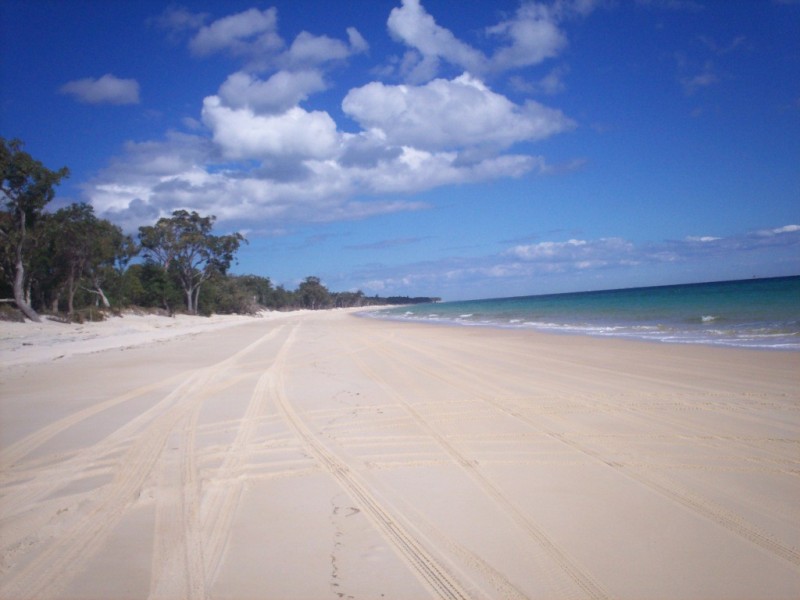 Moreton Island QLD 4025