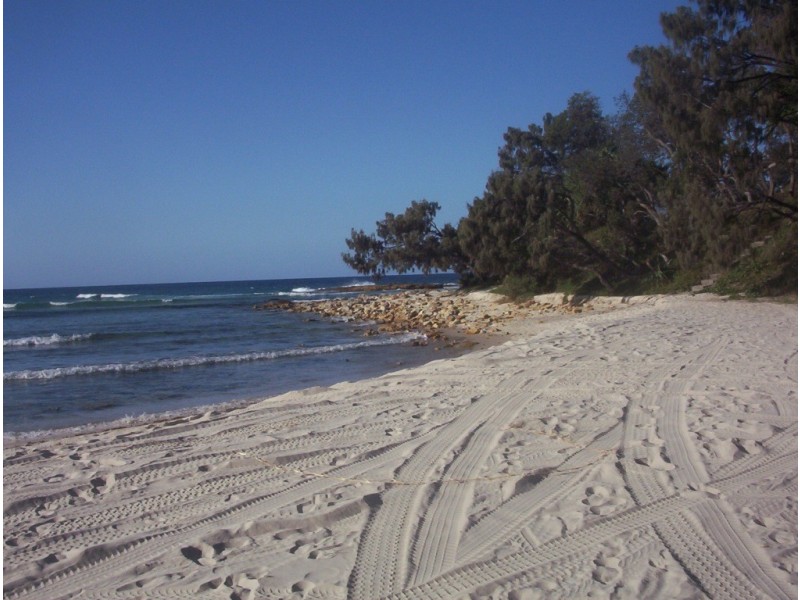 Moreton Island QLD 4025