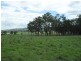 3 Mt Lindsay Highway, Laravale QLD 4285