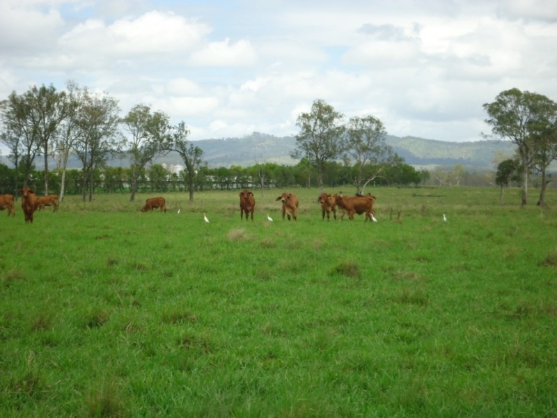 Gleneagle QLD 4285