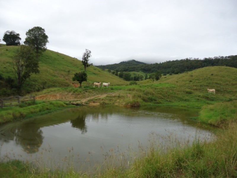 Palen Creek QLD 4287