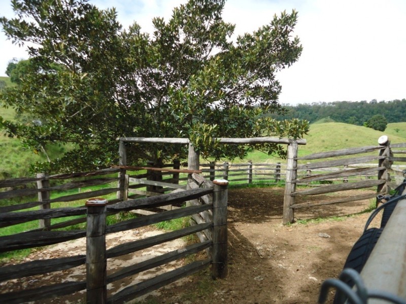 Palen Creek QLD 4287