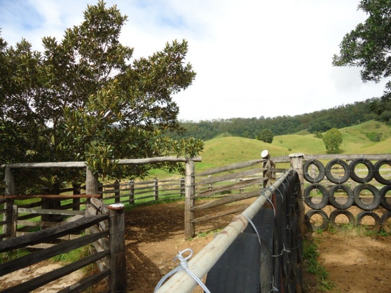 Palen Creek QLD 4287