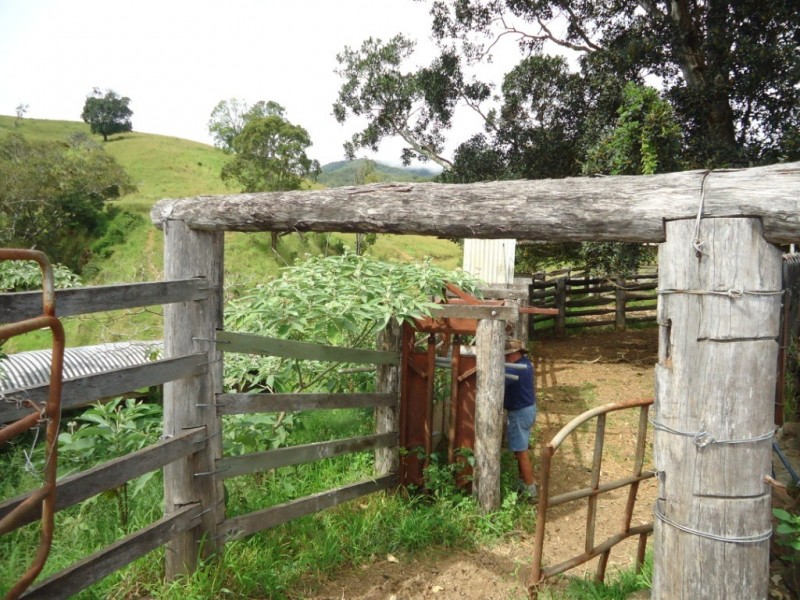 Palen Creek QLD 4287