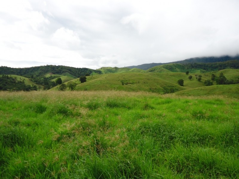 Palen Creek QLD 4287