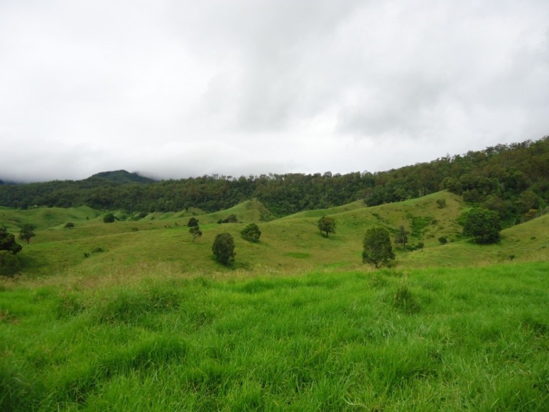 Palen Creek QLD 4287