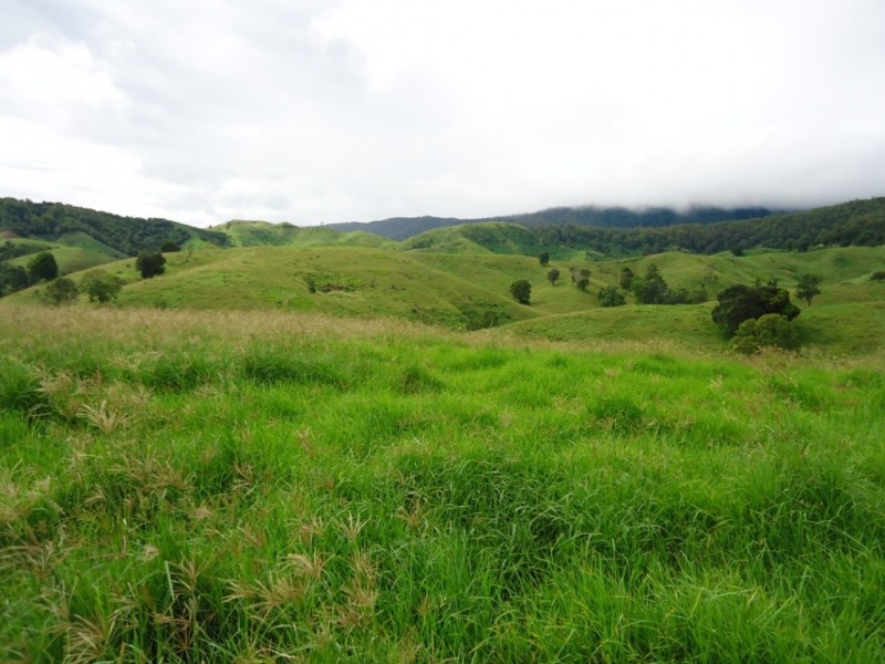 Palen Creek QLD 4287