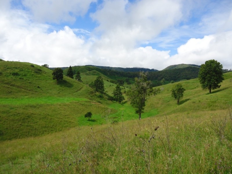 Palen Creek QLD 4287