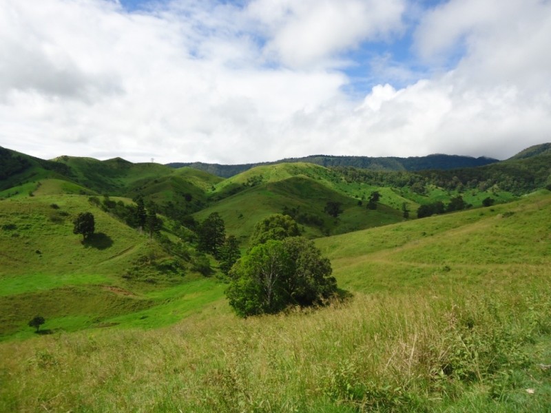 Palen Creek QLD 4287